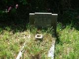 image of grave number 77575